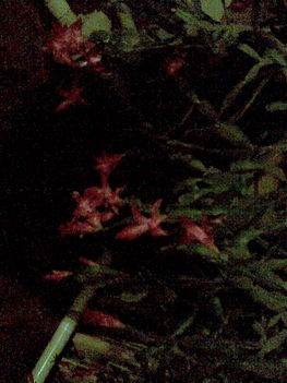Kép027