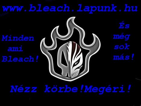 bleach_banner