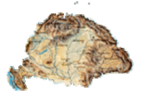 1200747550_23