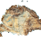 1200747550_23