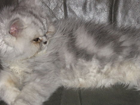 20070401 003