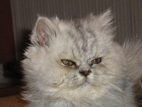 20070401 010