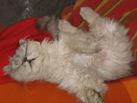 20070401 252