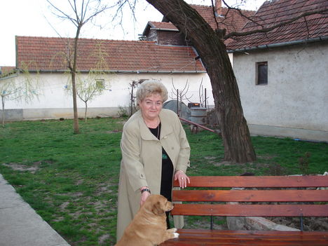 DSC00162