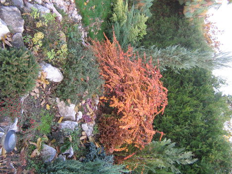 Kép 2007.11.15. 197