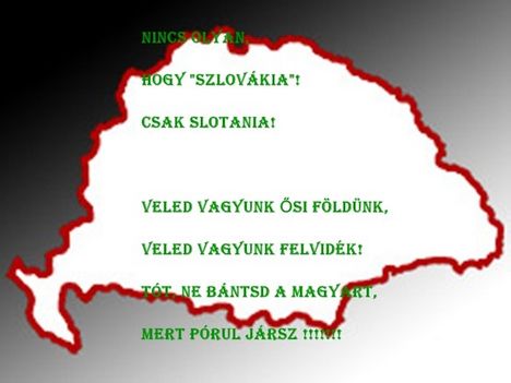mf_196446884_e400c29498d3ae9c9475d866fa8b791d