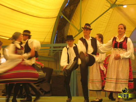 szücsi és én