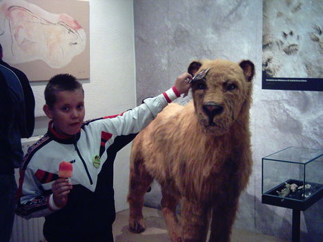 őslénytani múzeum 2   2007