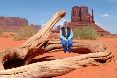 A tree in the monument valley