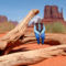 A tree in the monument valley