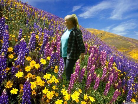 Gorman-California-USA