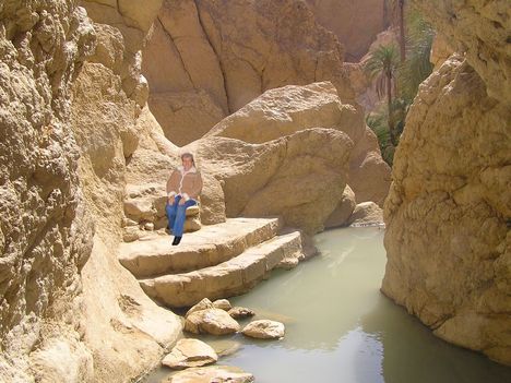 Oasis in Tunisia