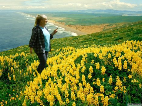 Point_Reyes-California-USA