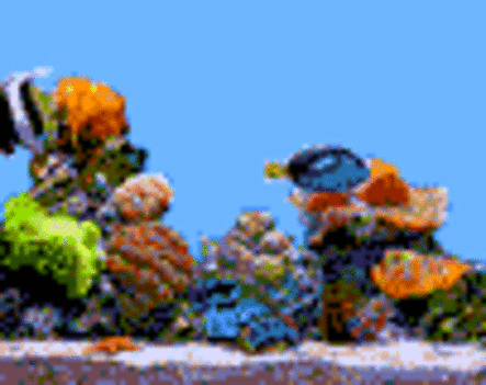 akvarium..gif_320_320_256_9223372036854775000_0_1_0