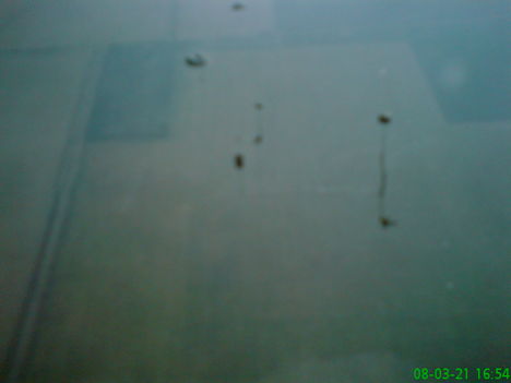 DSC00090