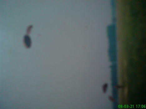 DSC00108