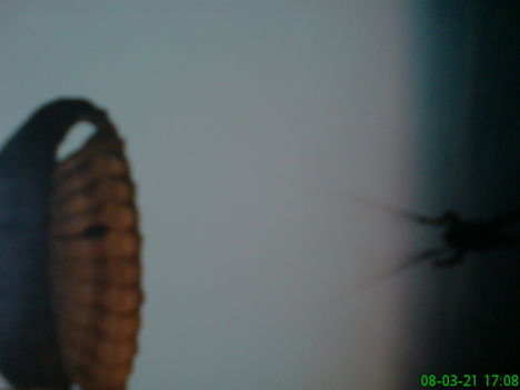 DSC00112