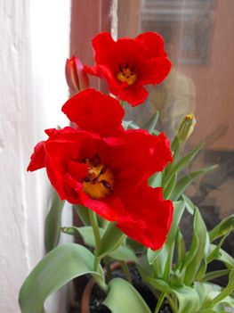 DSCF0121
