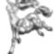 happy_centaur