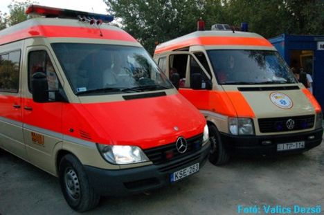 sziget_2008_08 (1109)