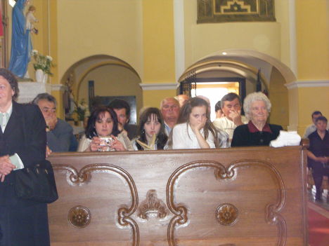 CSALÁDTAGOK