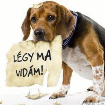 Légy ma vidám!