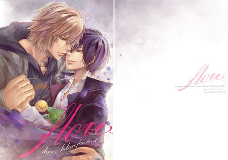 DH_doujinshi_flow_cover_by_javajafa
