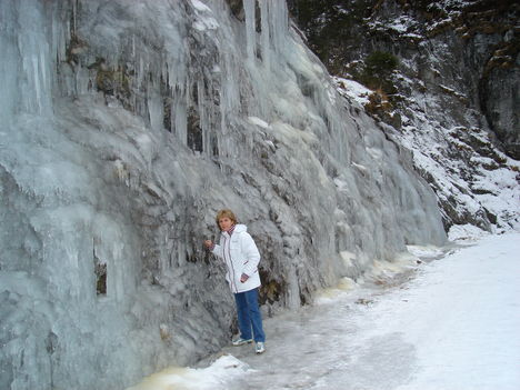 Dastein