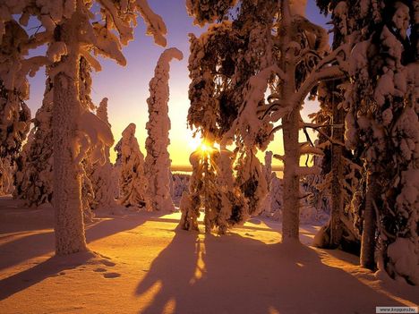 Téli napsütés-Finnország