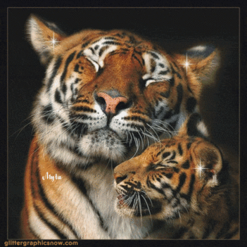 animal079%25255B1%25255D%5B1%5D