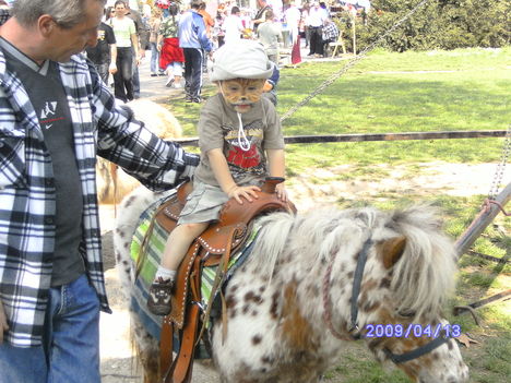 dominón vágtázom