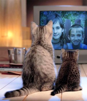 PhotoFunia-3f2
