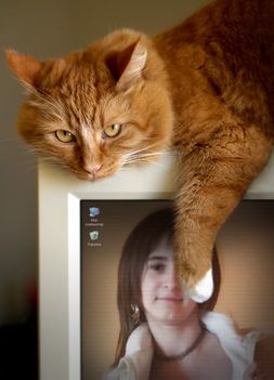 PhotoFunia-755d7