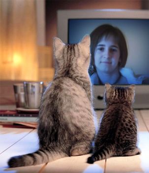 PhotoFunia-d65cb
