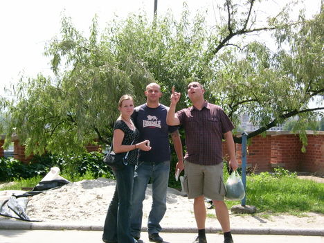 A wawel-ben