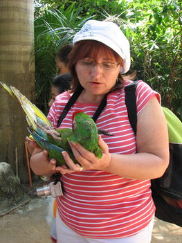 Én és a papagáj
