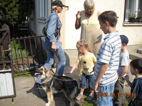 Na, itt a sok kiscsávó, ismerkednek a kutyival..