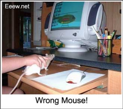 wrongmouse