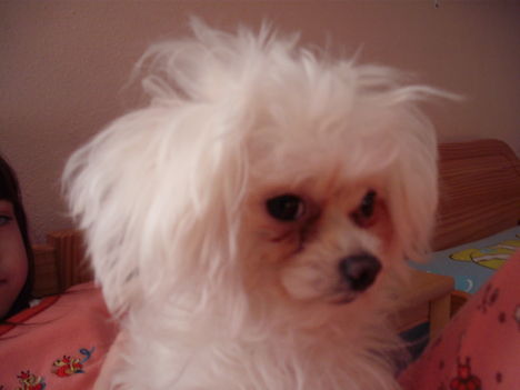 DSCF0015