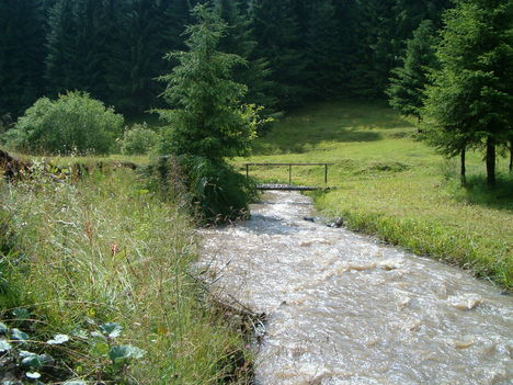 Hegyi patak eső után 2007. 07. 22