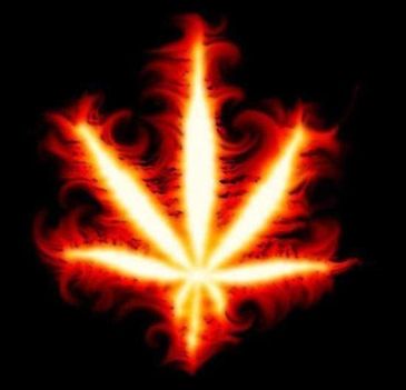 Marihuana in fire