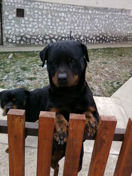 Fotó0023