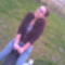 smile.