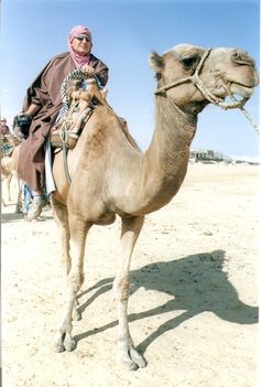 Az öreg tuareg
