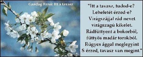 idézetes képek 81