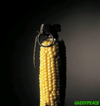 GMO kampány