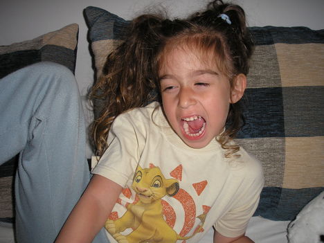 ALIZ