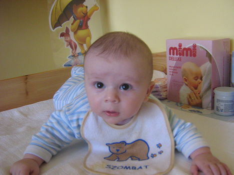 BANDIKA 090