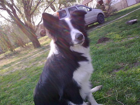 Bodzim:)