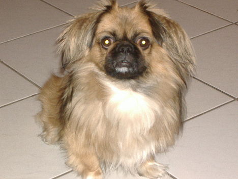 DSCF0609